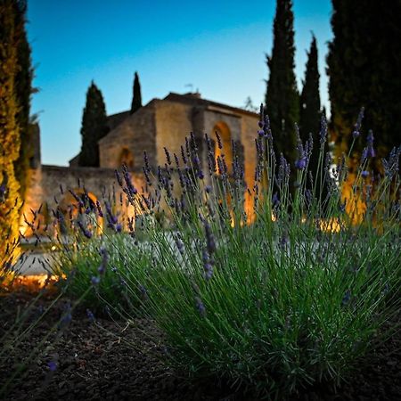 Chateau Saint-Pierre De Mejans Puyvert Екстер'єр фото