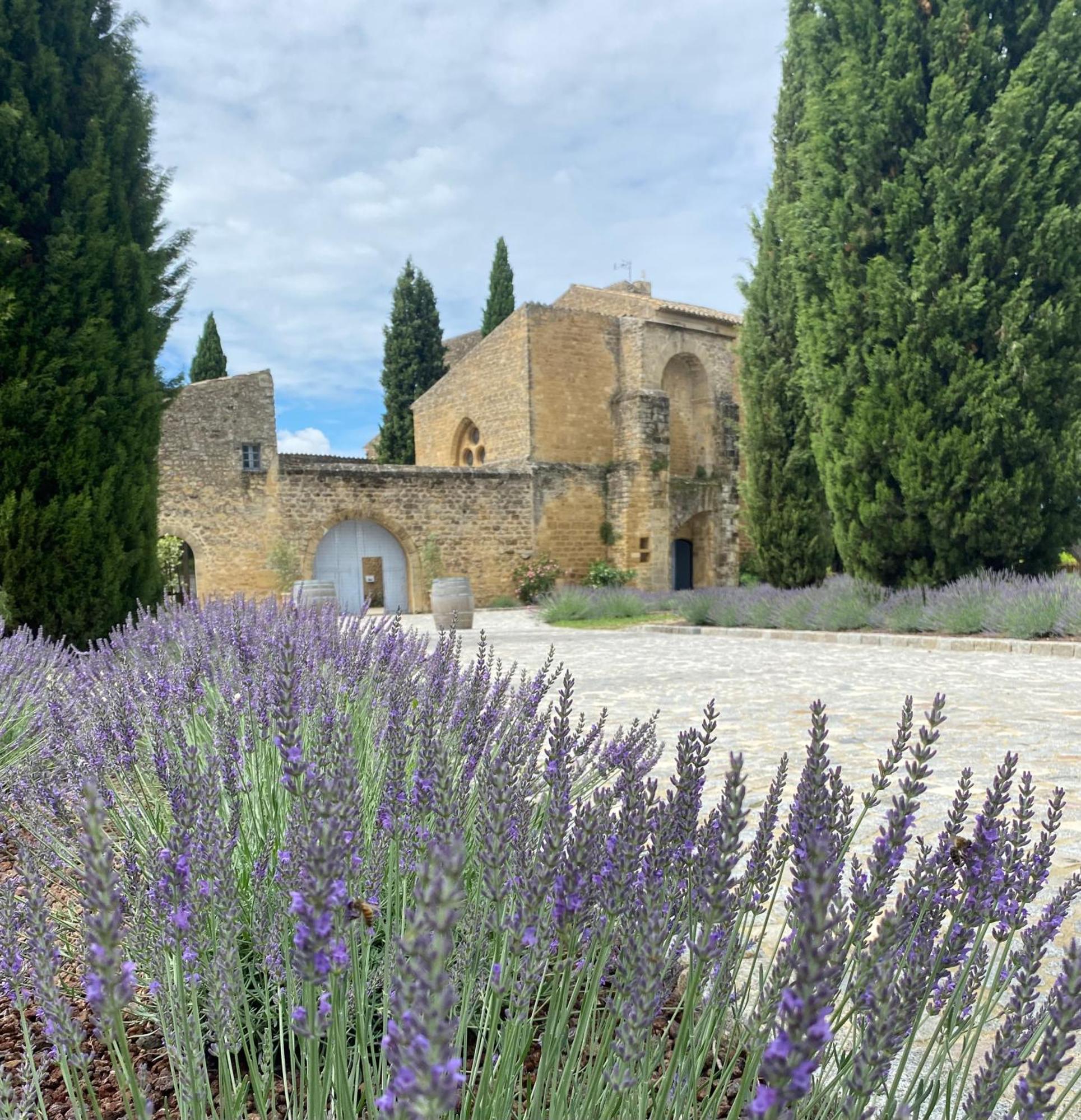 Chateau Saint-Pierre De Mejans Puyvert Екстер'єр фото