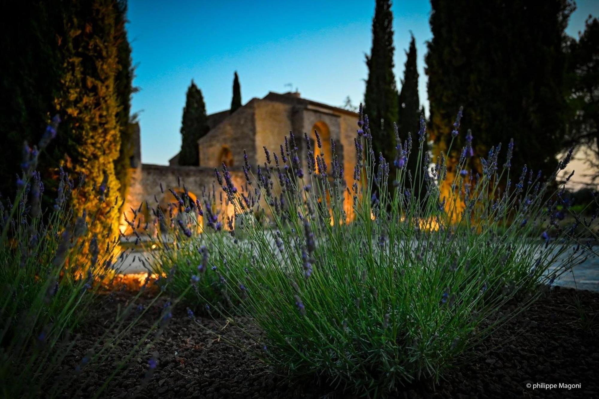 Chateau Saint-Pierre De Mejans Puyvert Екстер'єр фото